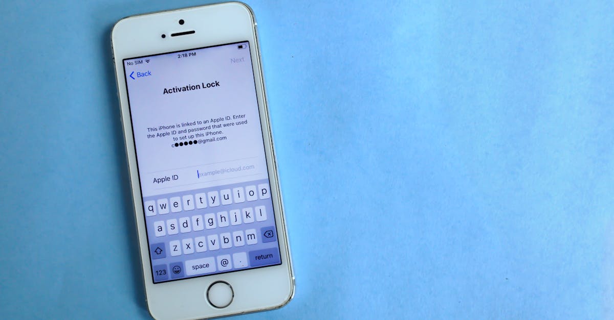 image_68ca3a53676431.91071320 image_68ca3a53676431.91071320